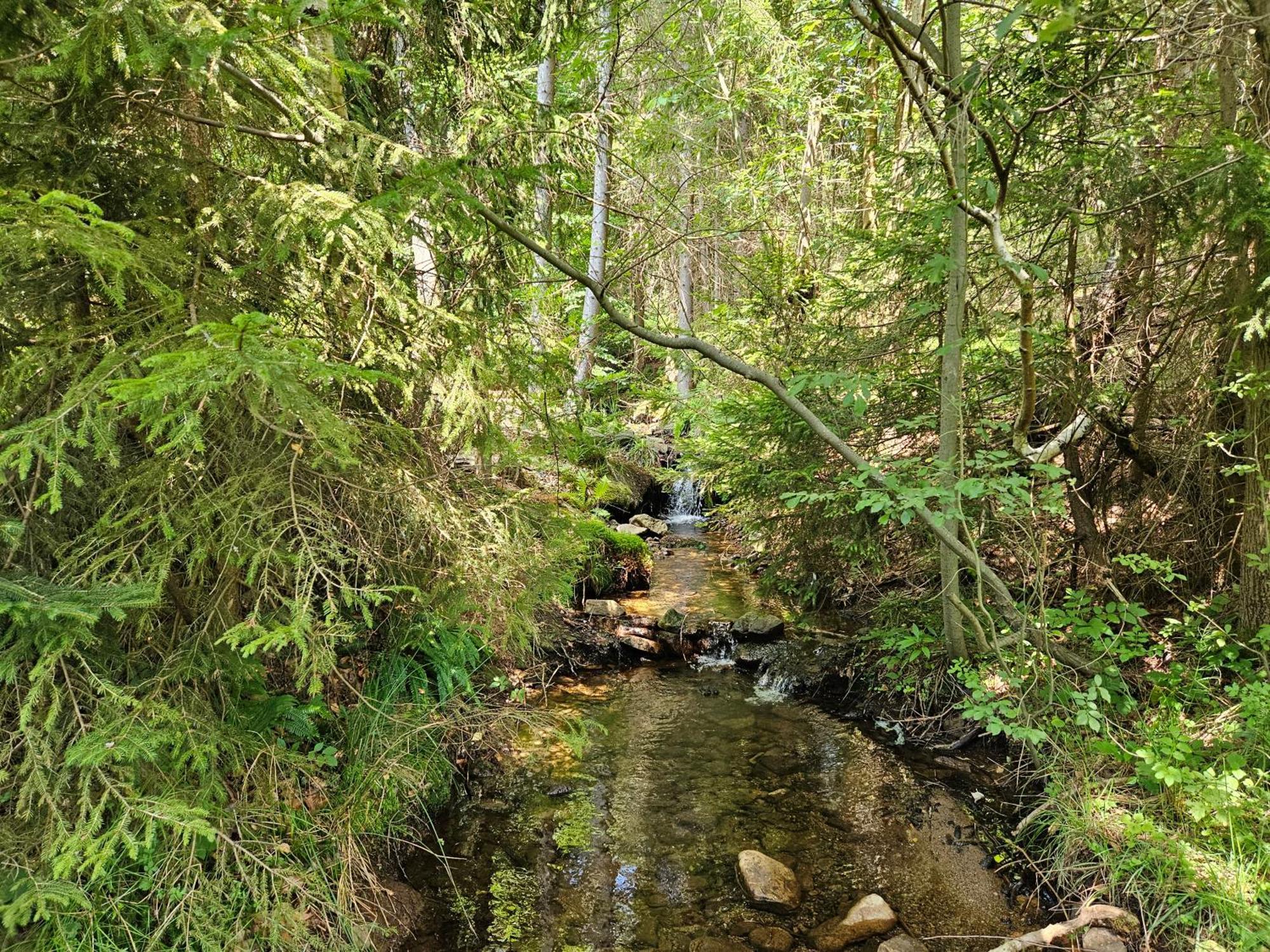 Chata góralska Wojtasówka Kamesznica Exterior foto