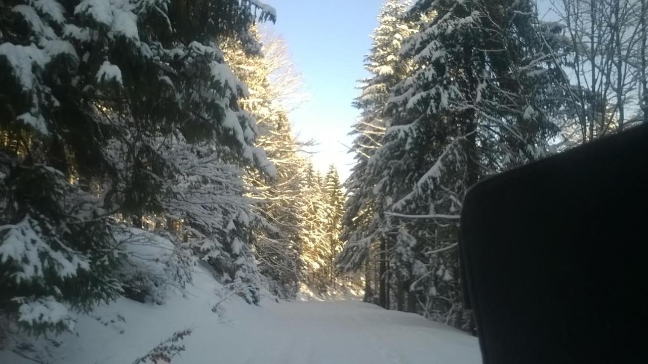 Chata góralska Wojtasówka Kamesznica Exterior foto